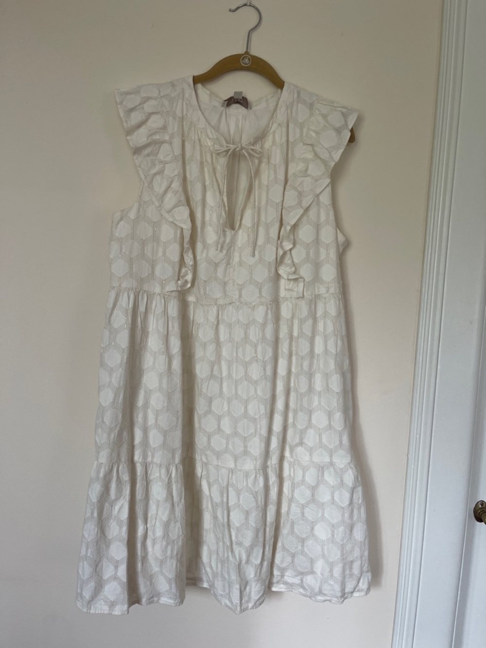 LOFT Cream Eyelet Ruffle Tie-Front Mini Dress